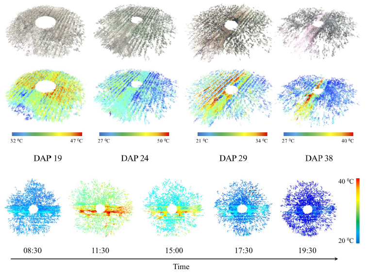 4D-RGB Mapping