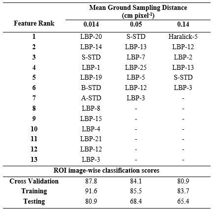 classification Results